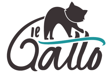 Il Gatto